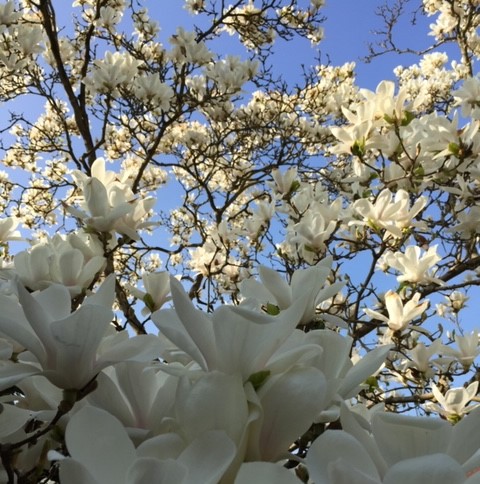 Angebot Ostern in Plön